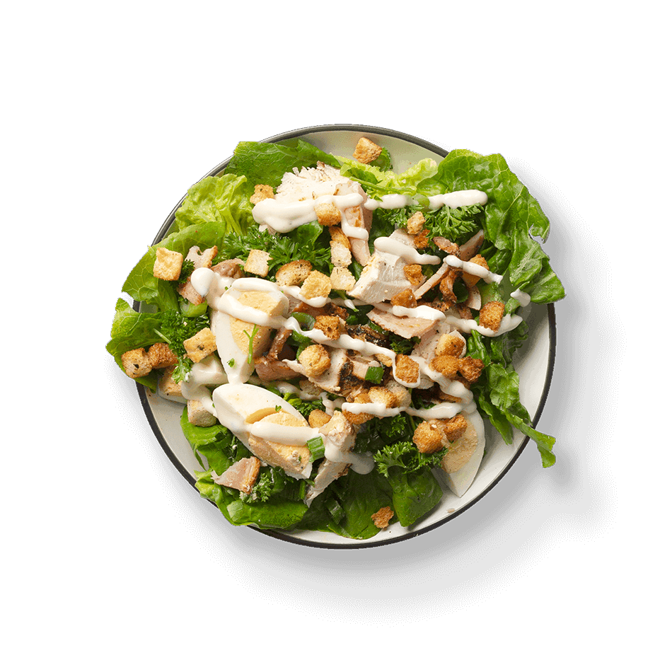 Chicken Caesar Salad JL King Co 