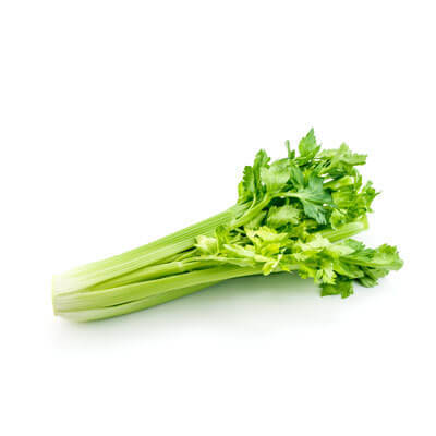 Celery 400x400