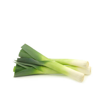 Leek 400x400