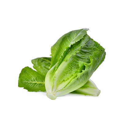 Lettuce 400x400