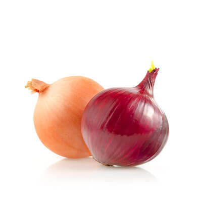 Onion 400x400