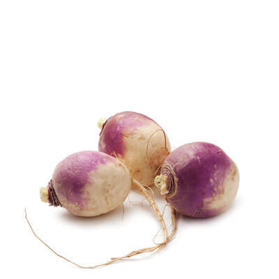 Turnip 400x400
